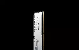 16gb ddr5 5600mhz - Kingston Fury Beast, DDR5, 16 GB, 5600 MHz, CL36, Balta (White) - 2 nuotrauka