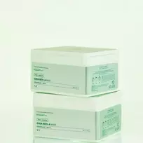 veido poru kauke - VT Cosmetics CICA Reti–A Mask poras mažinanti veido kaukė - 30 vnt. - 4 nuotrauka