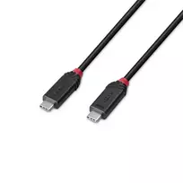 usb type c laidas 2 m - CABLE USB4 240W TYPE C 1M/BLACK LINE 37001 LINDY - 2 nuotrauka