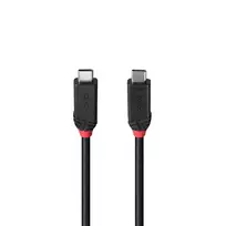 usb type c laidas 2 m - CABLE USB4 240W TYPE C 1M/BLACK LINE 37001 LINDY - 5 nuotrauka