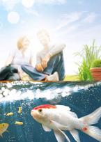 zuvu pasarai - Preparatas tvenkinio žuvų gydymui Tetra Pond Algo Rem 500ml - 2 nuotrauka