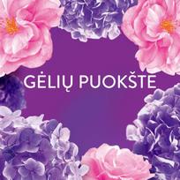 audinys - Lenor Audinių minkštiklis Floral Bouquet, 1.974 L - 3 nuotrauka