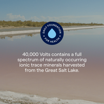 kapsule - TRACE MINERALS ConcenTrace 40,000 Volts, elektrolitų koncentratas su magniu ir kaliu, 237 ml - 6 nuotrauka