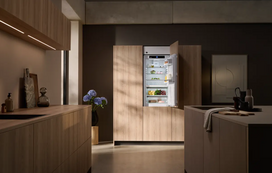 saldytuvas biofresh - Liebherr ICBa 5123 - 3 nuotrauka