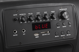 usb kolonele - Azusa Aktyvi Kolonėlė 12" 40W - 3 nuotrauka