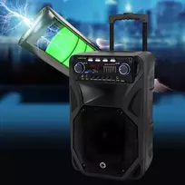 garsiakalbiai 12 - Manta SPK5021PRO - 5 nuotrauka