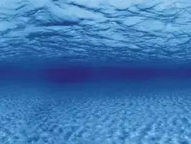 rusiavimo siuksliadeziu rinkinys - AQUA NOVA Dvipusis akvariumo fonas XL 150x60cm šaknys / vanduo - 2 nuotrauka