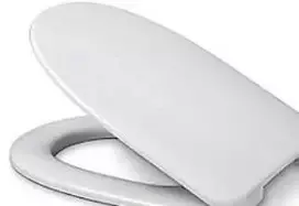 Hamberger Sanitary Polar klozeto dangtis SC - baltas su švelniu uždarymu ir nuėmimu. Skirtas GB Nautic
