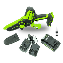 saku genetuvas -  Greenworks G24MCS10K2, 10 cm - 6 nuotrauka