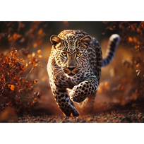 delione 3 - Trefl Premium Wild Leopard, 1000 det. - 2 nuotrauka