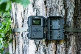 misko kamera - BRESSER Laukinės gamtos stebėjimo kamera 5-20 MP 20 m 60° - 2 nuotrauka
