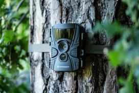 misko kamera - BRESSER Laukinės gamtos stebėjimo kamera 5-20 MP 20 m 60° - 5 nuotrauka