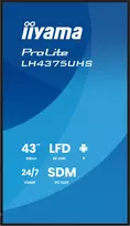 iiyama prolite - iiyama ProLite LH4375UHS-B2AG 42.5", IPS, 4K Ultra HD - 8 nuotrauka