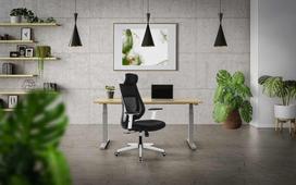 vadovo kede - Office Chair MARK ADLER VADOVAS 3.9 Juoda - 2 nuotrauka