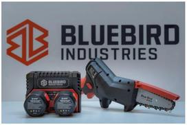 akumuliatorinis grandininis pjuklas - Blue Bird CS 22-04, 12.6V, 2.5 Ah - 4 nuotrauka