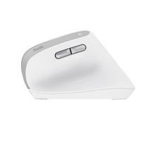 wireless ergonomic mouse - Trust Bayo II Balta (White) - 2 nuotrauka