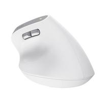 wireless ergonomic mouse - Trust Bayo II Balta (White) - 12 nuotrauka