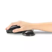wrist rest - Nintendo Amiibo ANIMAL CROSSING TRIPLE PACK (REESE   CYRUS   K.K.) - 3 nuotrauka
