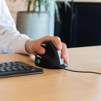 kompiuteris mouse - MOUSE USB OPTICAL BREAK/L. BLACK RGOHELELA R-GO TOOLS - 5 nuotrauka