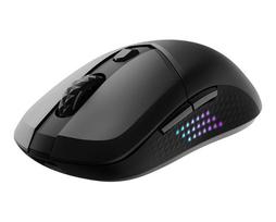bluetooth peles - MSI VERSA 300 ELITE WIRELESS Juoda (Black) - 6 nuotrauka