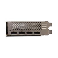 graphic card - SPARKLE Intel Arc PRO B60 PASSIVE 24GB GDDR6 - 2 nuotrauka