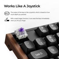 klaviaturos lt - KEYBOARD WRL K10 HE/BLACK K10H-J1 KEYCHRON - 7 nuotrauka