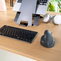 bluetooth peles - MOUSE USB OPTICAL WRL BASIC/R. GREY RGOHEBAMRWL R-GO TOOLS - 2 nuotrauka