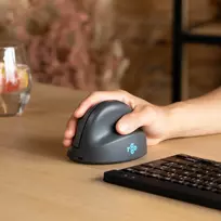 bluetooth peles - MOUSE USB OPTICAL WRL BASIC/R. GREY RGOHEBAMRWL R-GO TOOLS - 5 nuotrauka