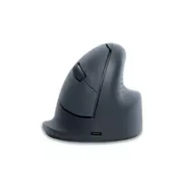 bluetooth peles - MOUSE USB OPTICAL WRL BASIC/R. GREY RGOHEBAMRWL R-GO TOOLS - 7 nuotrauka