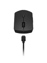 bluetooth peles - Lenovo Professional Wireless Rechargeable Combo Keyboard and Mouse | Keyboard and Mouse Set | Wireless | Mouse included | US English | Bluetooth | Grey | 4X31R64316 - 2 nuotrauka