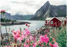 ravensburger puzzle 1000 - Ravensburger Scandinavian Places Lofoten Norway, 50 x 70 cm, 1000 det. - 2 nuotrauka