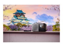 bluetooth radio - Sharp OSAKA DR-P520 Pilka (Grey) - 5 nuotrauka