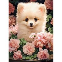 puzzle castorland - Castorland Pomeranian Puppy In Roses B-066261, 60 det. - 2 nuotrauka
