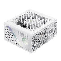 psu 850w - Gamemax GS 850G WH 850W SFX Baltas (White) - 6 nuotrauka