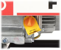 generatorius 2500 - Fogo F-3001R, 2500W - 12 nuotrauka