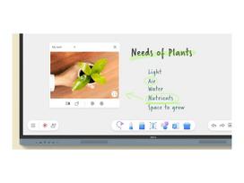 interaktyvi lenta - BenQ RM7504 75", 4K, Juodas (Black) - 2 nuotrauka