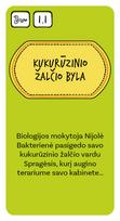 mokyklos detektyvas - TERRA PUBLICA Stalo žaidimas „Domas ir Tomas. Mokyklos detektyvai“ LT - 7 nuotrauka