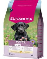 Eukanuba Puppy Large Breed Chicken 3 kg