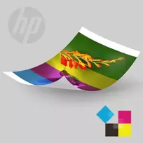 hp sprocket - Fotopopierius HP Sprocket Studio Plus 4x6 (108 vnt.) - 3 nuotrauka
