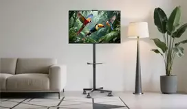 tv 32 - GEMBIRD TVS-55T-03 Grindų stovas televizoriui, 32-55", Juodas (Black) - 2 nuotrauka