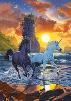 puzzle deliones 1000 - Educa Vienaragiai paplūdyme, 1000 det. - 5 nuotrauka