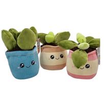 geles zaislai - Pliušinis žaislas augalas PMS GB02-456193, įvairių spalvų, 20 cm - 5 nuotrauka