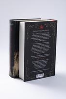 leigh bardugo - Sukčių karalystė. Šešeto varnų antra knyga - Leigh Bardugo - 2 nuotrauka