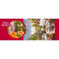 dreame 1000 - CherryPazzi The Orangery Of Dreams 31544, 1000 det. - 5 nuotrauka