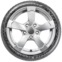 ziemines padangas 225 55 r18 - Dunlop SP Winter Sport 4D 225/55 R18 102H XL - 2 nuotrauka