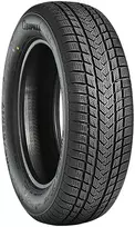 padangos 235 60 r20 - Žieminė automobilio padanga Gripmax Suregrip eWinter 235/60/R20, 108-H, C, B, 72 dB - 2 nuotrauka