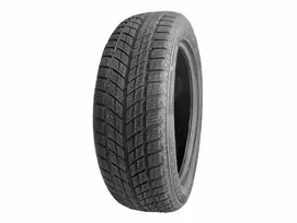 ziemines r19 235 50 - Žieminė automobilių padanga DoubleStar DW09 235/50/R19, 99-H, E, C, 72 dB - 2 nuotrauka