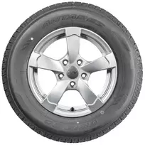 215 50 r17 - ANTARES GRIP20 215/50R17 95H XL  - 2 nuotrauka