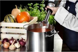 roboto ranka - Royal Catering - 350 W - 250 mm - 2 nuotrauka