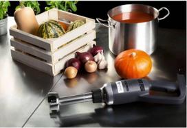 roboto ranka - Royal Catering - 350 W - 250 mm - 3 nuotrauka